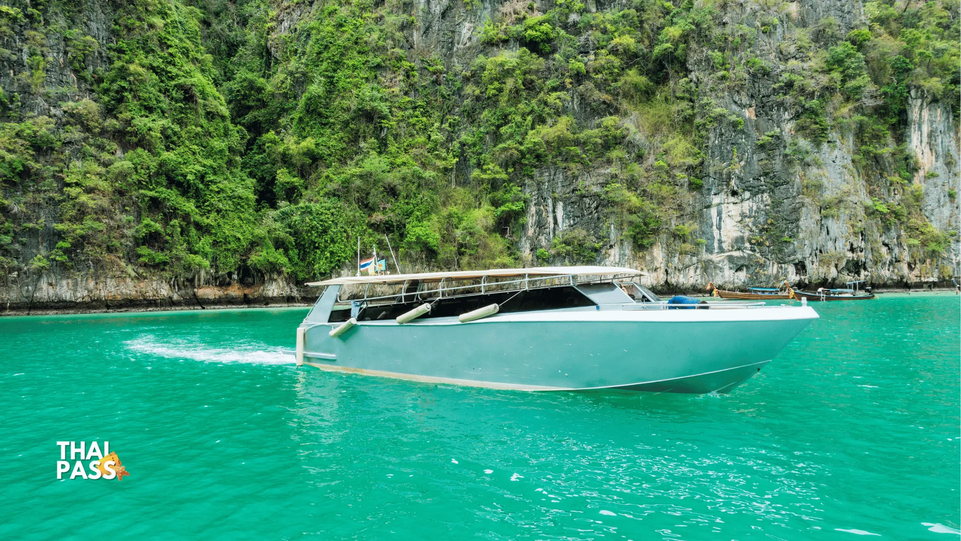 Phi Phi Island Day Trip Speedboat Tour include Transfer