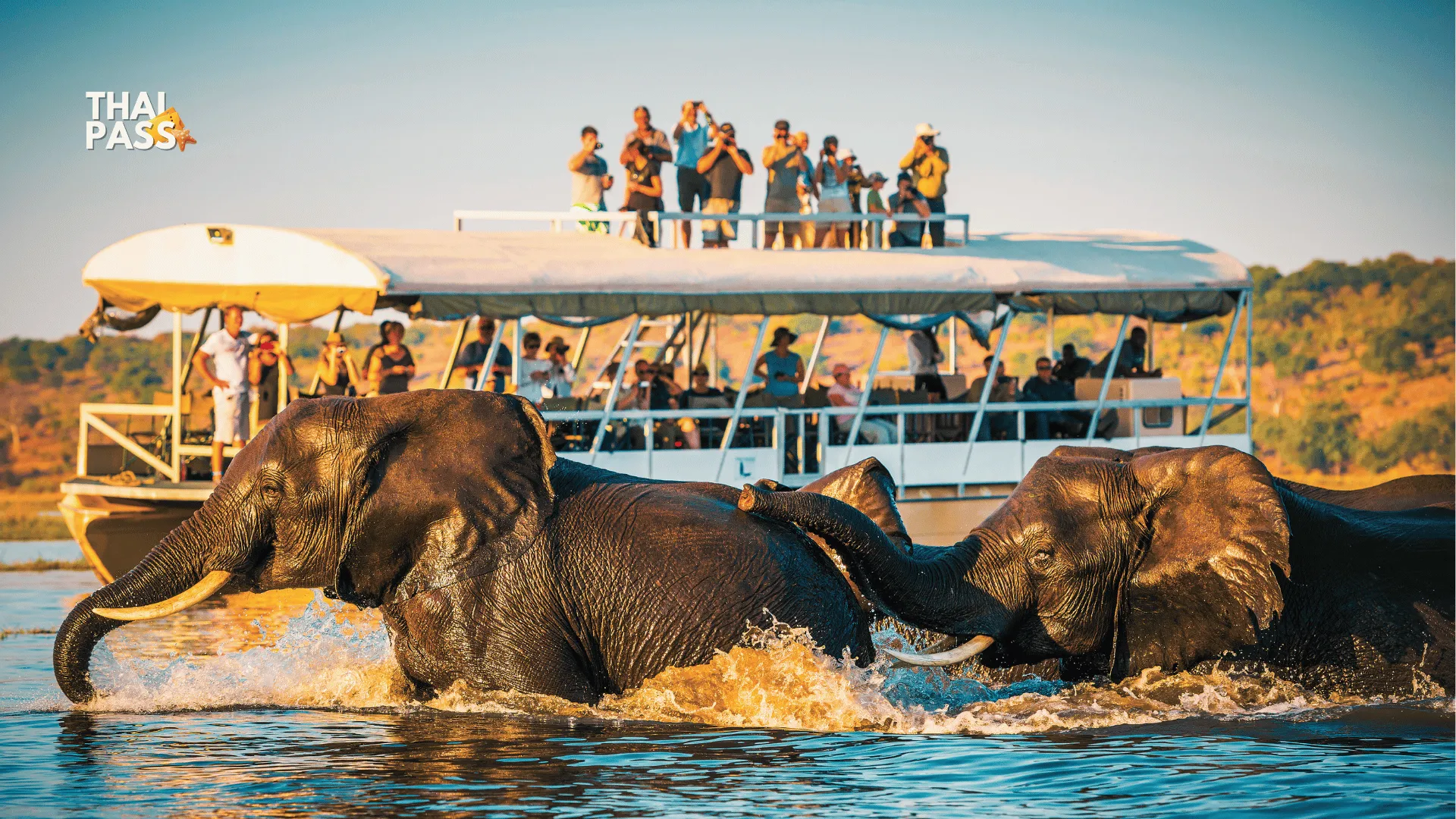 Kanchanaburi Elephants Experience Elephants Bathing & Bamboo Rafting