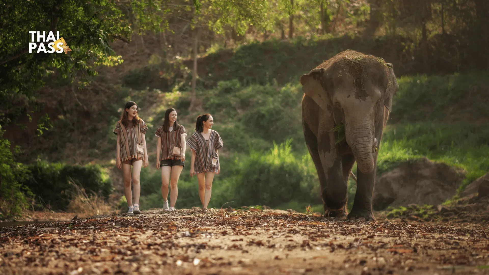 Elephant Jungle Sanctuary - Phuket