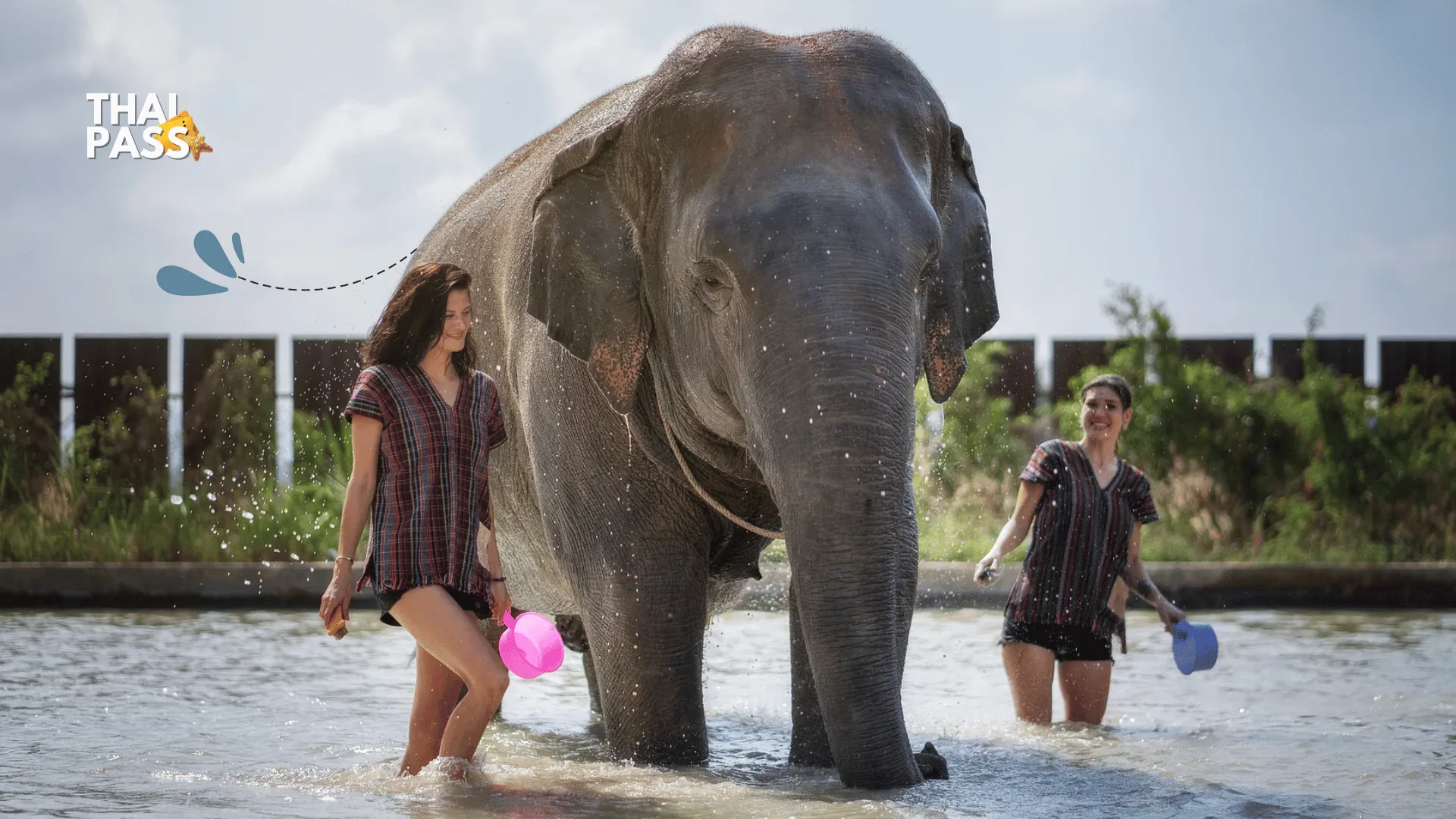 Elephant Jungle Sanctuary - Pattaya