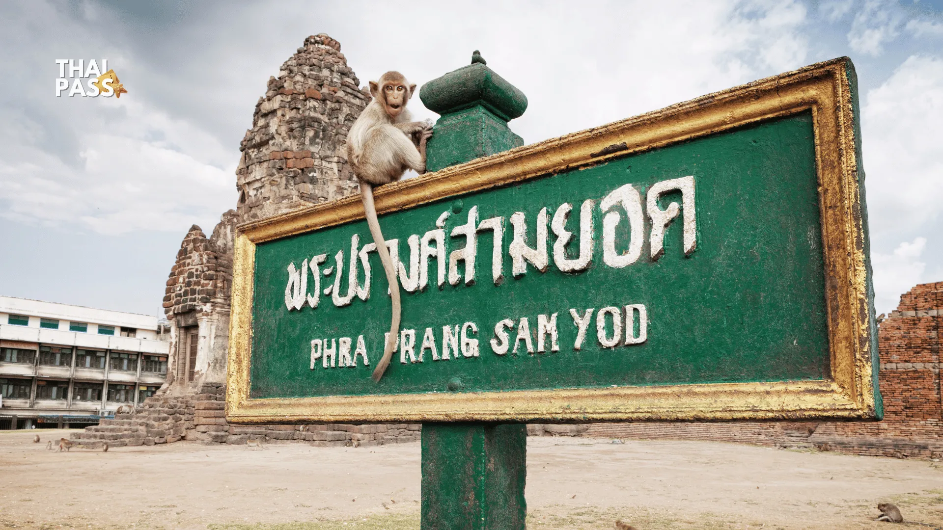 Unseen Lopburi: The Land of Monkey