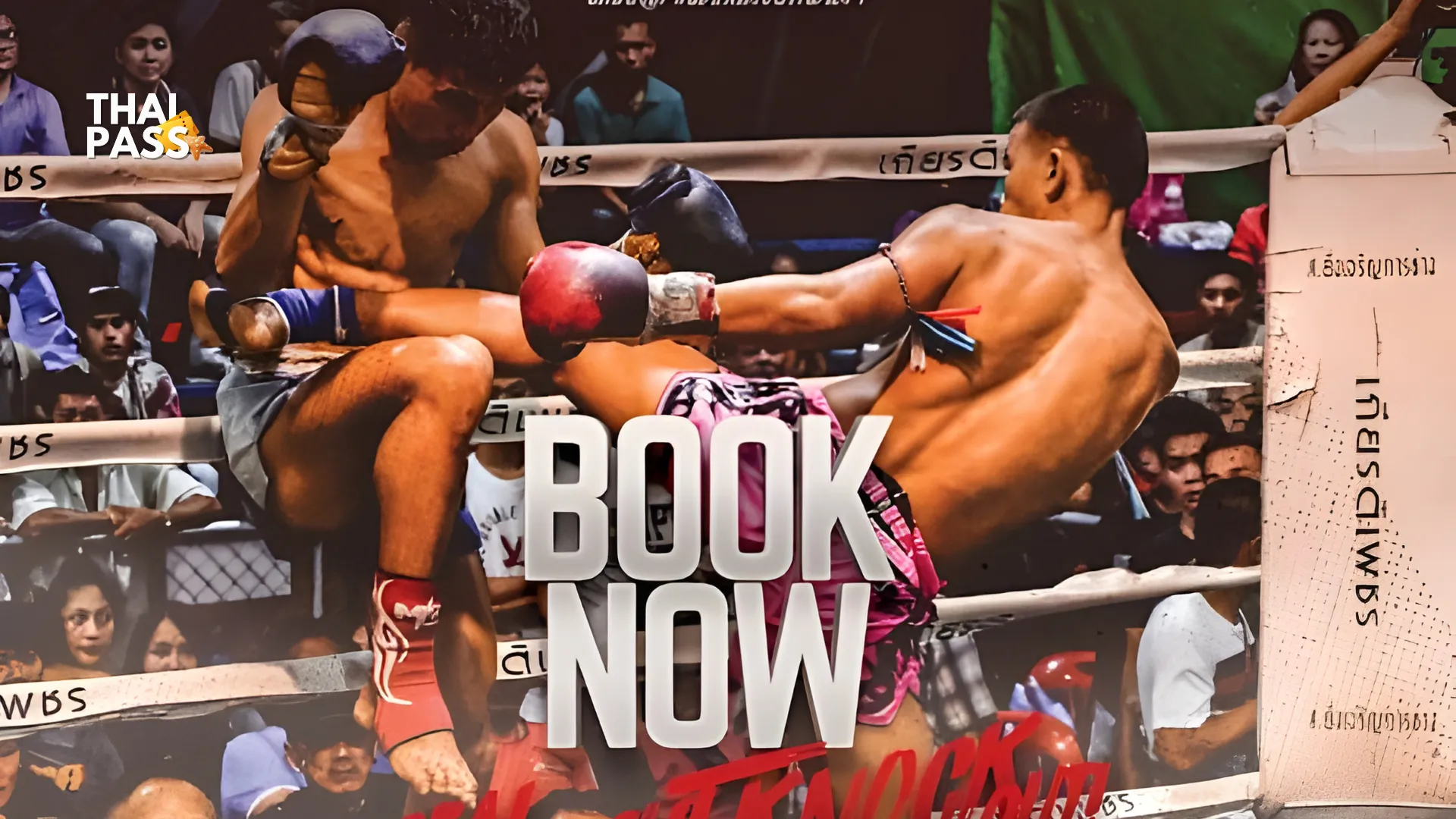 Chiang Mai Boxing Stadium Muay Thai Ticket - Thai Pass