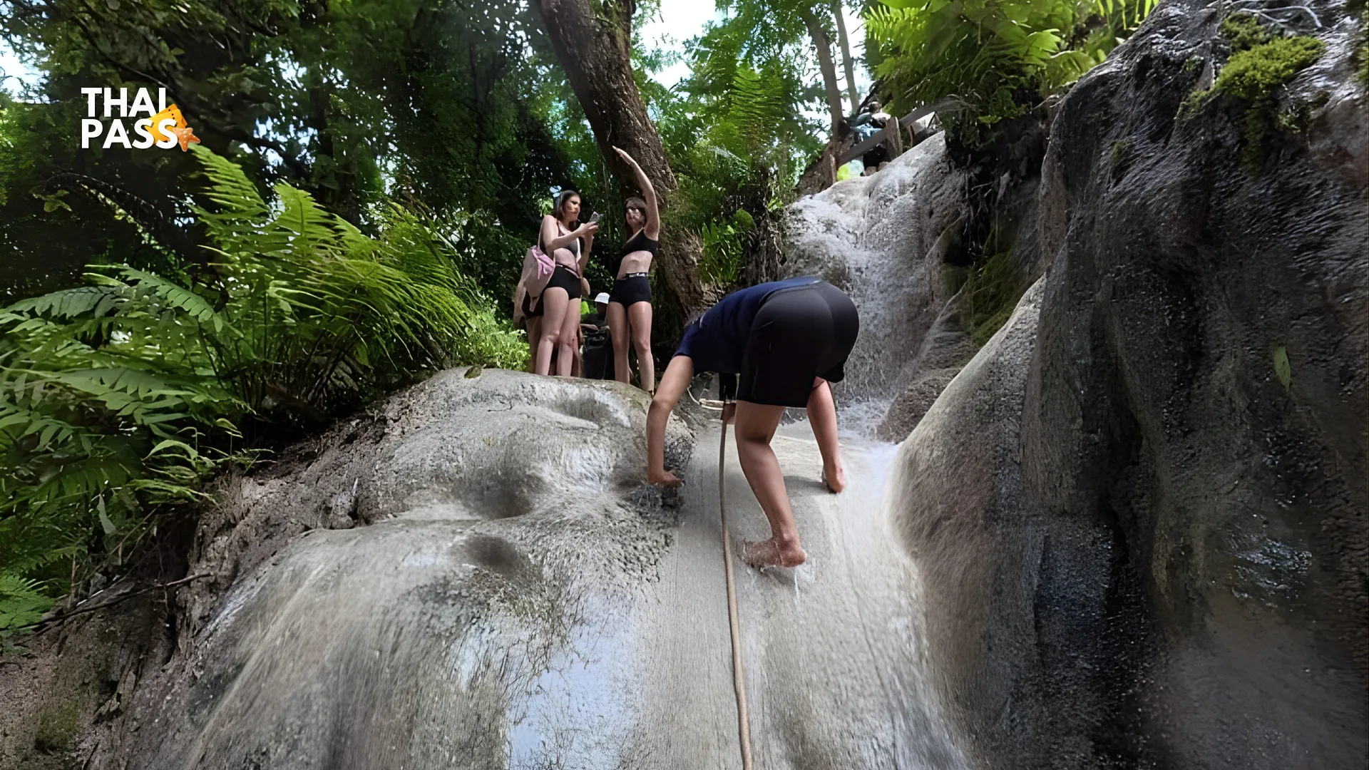 Chiang Mai: Bua Thong Sticky Waterfall and Huge Cave Tour - Thai Pass
