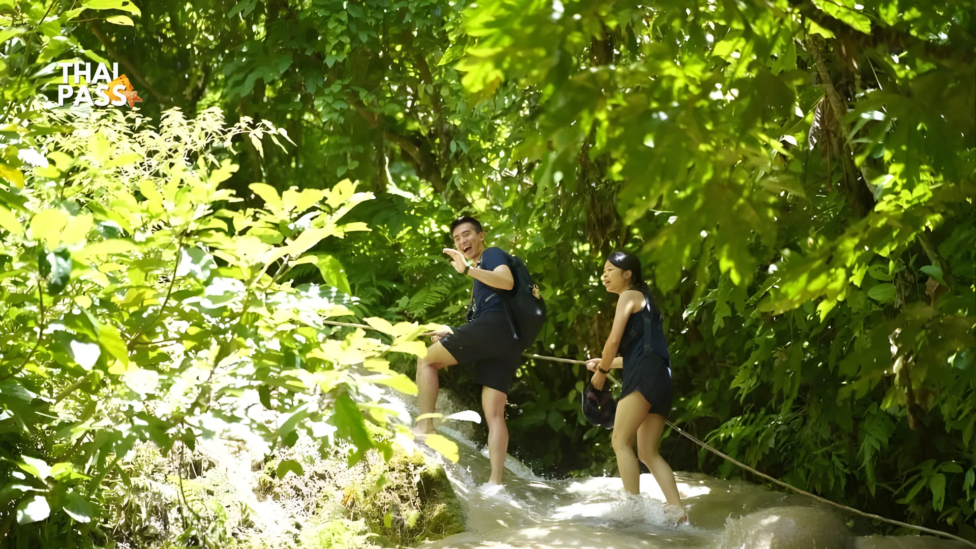 Chiang Mai: Bua Thong Sticky Waterfall and Huge Cave Tour - Thai Pass