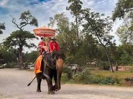 Closest Way for Wild Life & Living as Thai People with Thai Costume in Ayutthaya Day Tour - Thai Pass