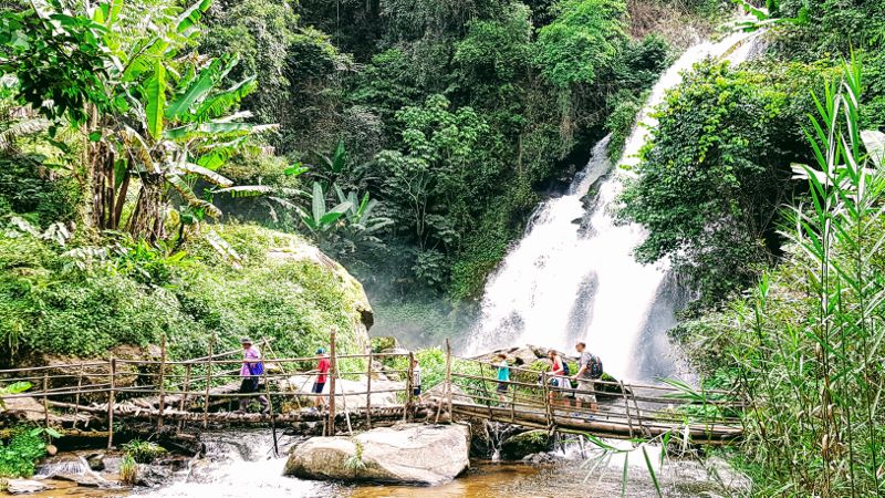 Day Tour - Doi Inthanon National Park and Pha Dok Siew - Thai Pass