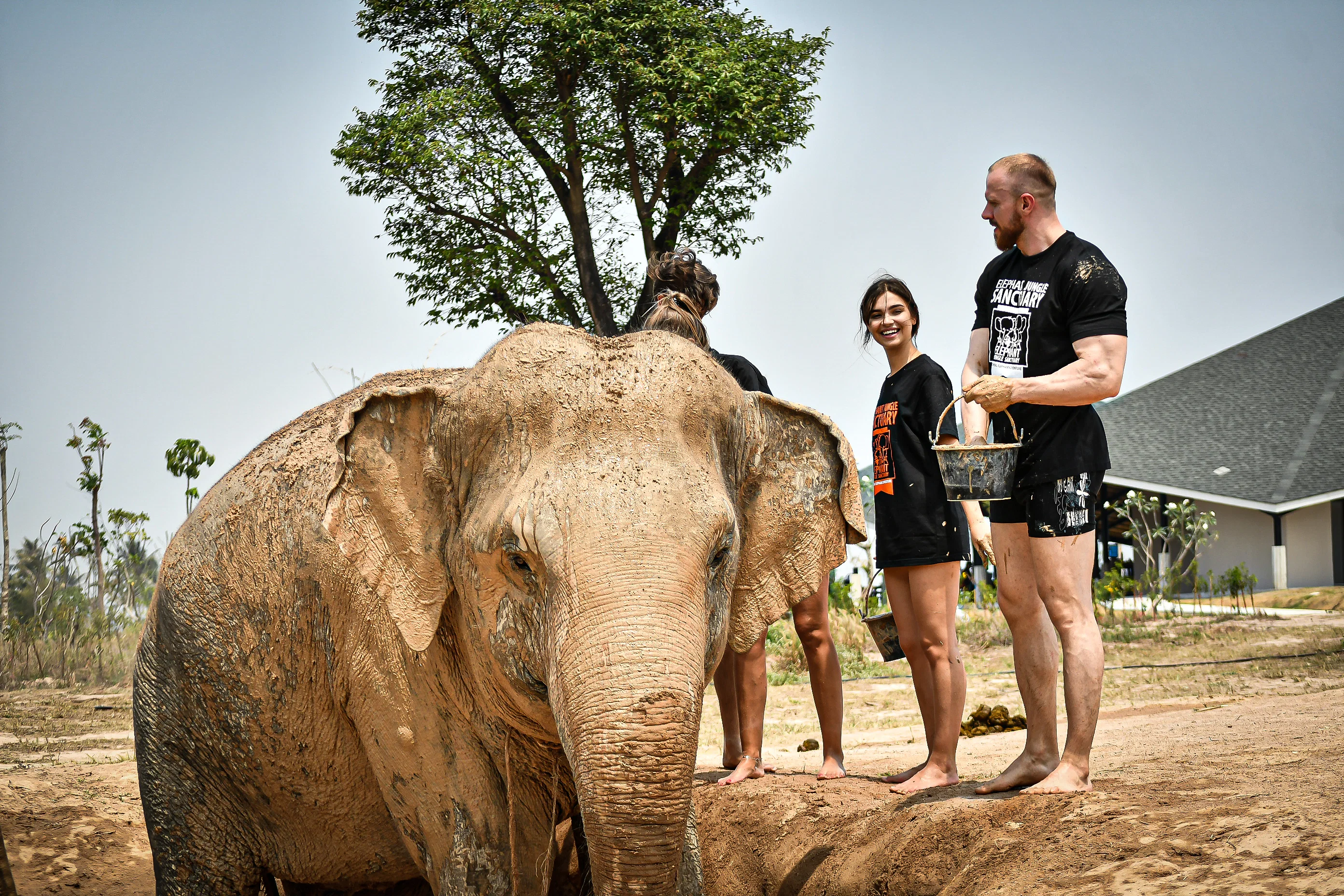 Elephant Jungle Sanctuary - Pattaya - Thai Pass