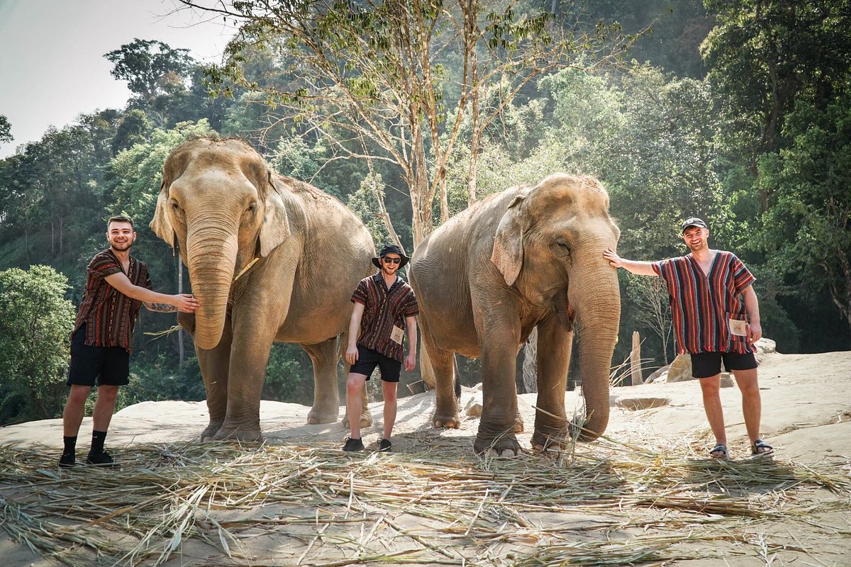 Elephant Jungle Sanctuary - Chiang Mai - Thai Pass