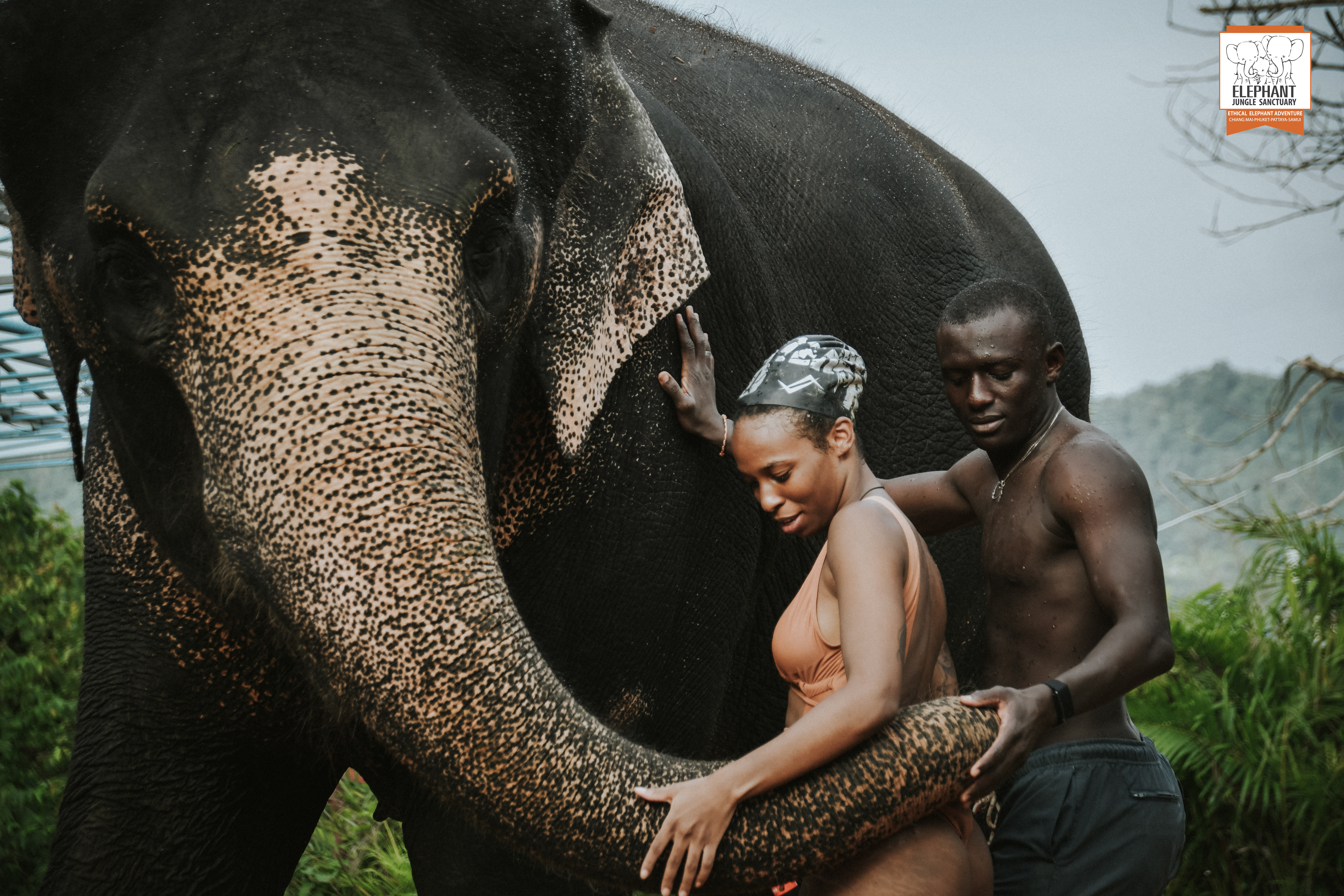 Phuket: Half Day Visit with Meal by Elephant Jungle Sanctuary - Phuket Thai Pass