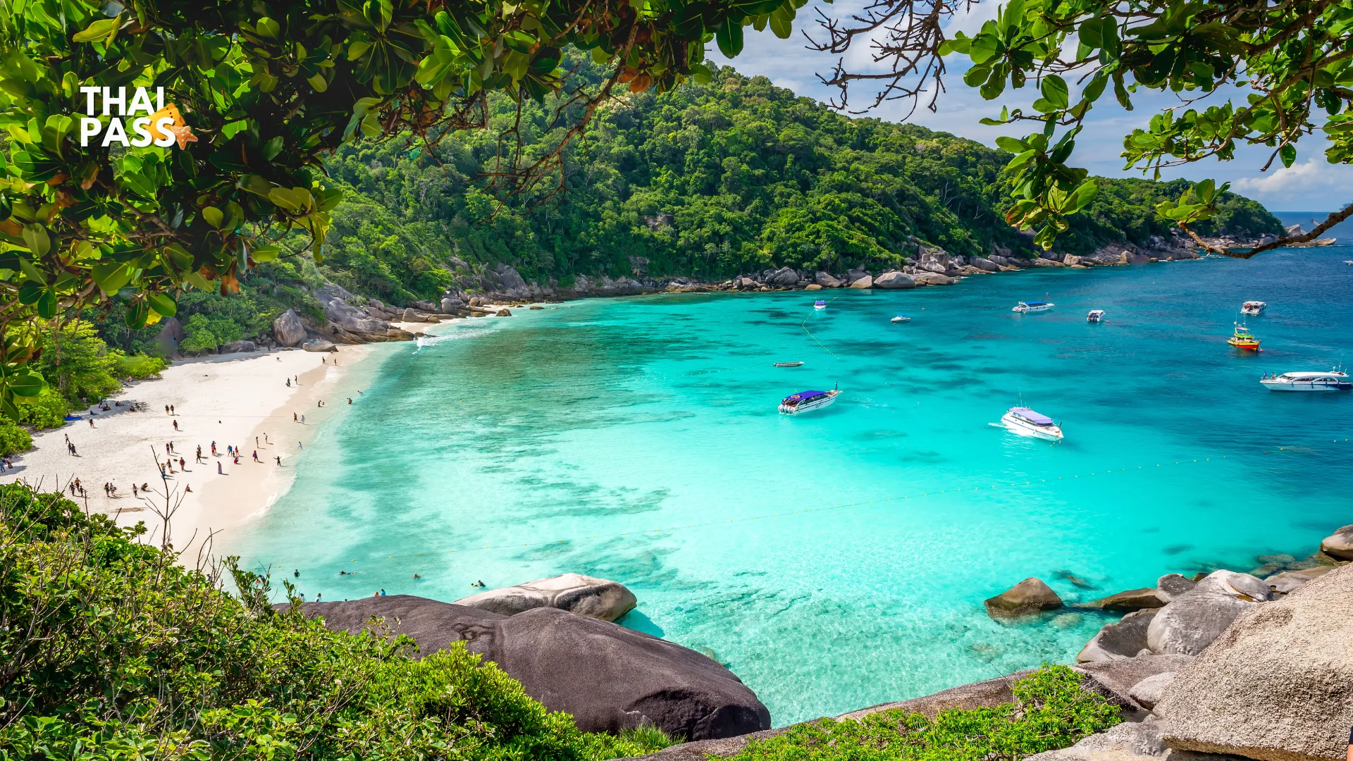 [JOIN TOUR] From Phuket: Day Trip Similan  - Taplamu Pier - Thai Pass