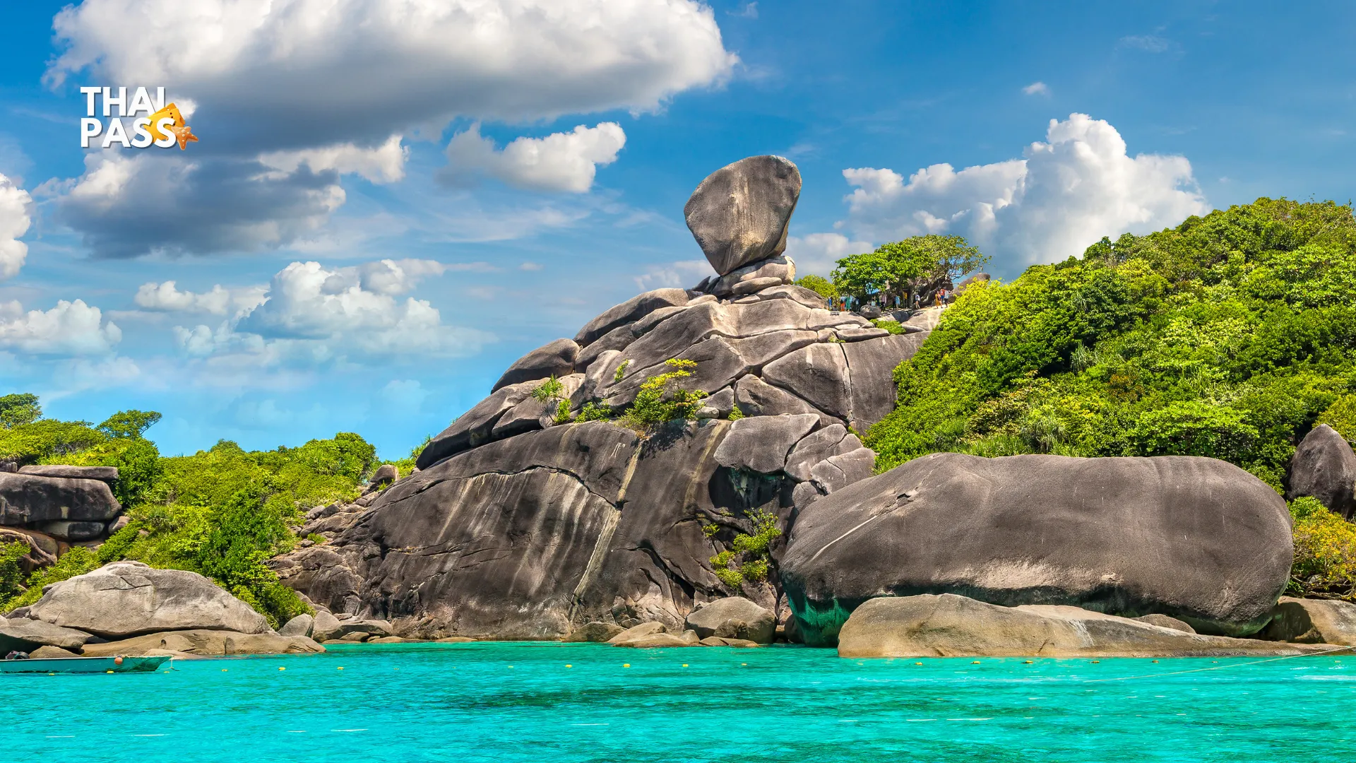 [JOIN TOUR] From Phuket: Day Trip Similan  - Taplamu Pier - Thai Pass