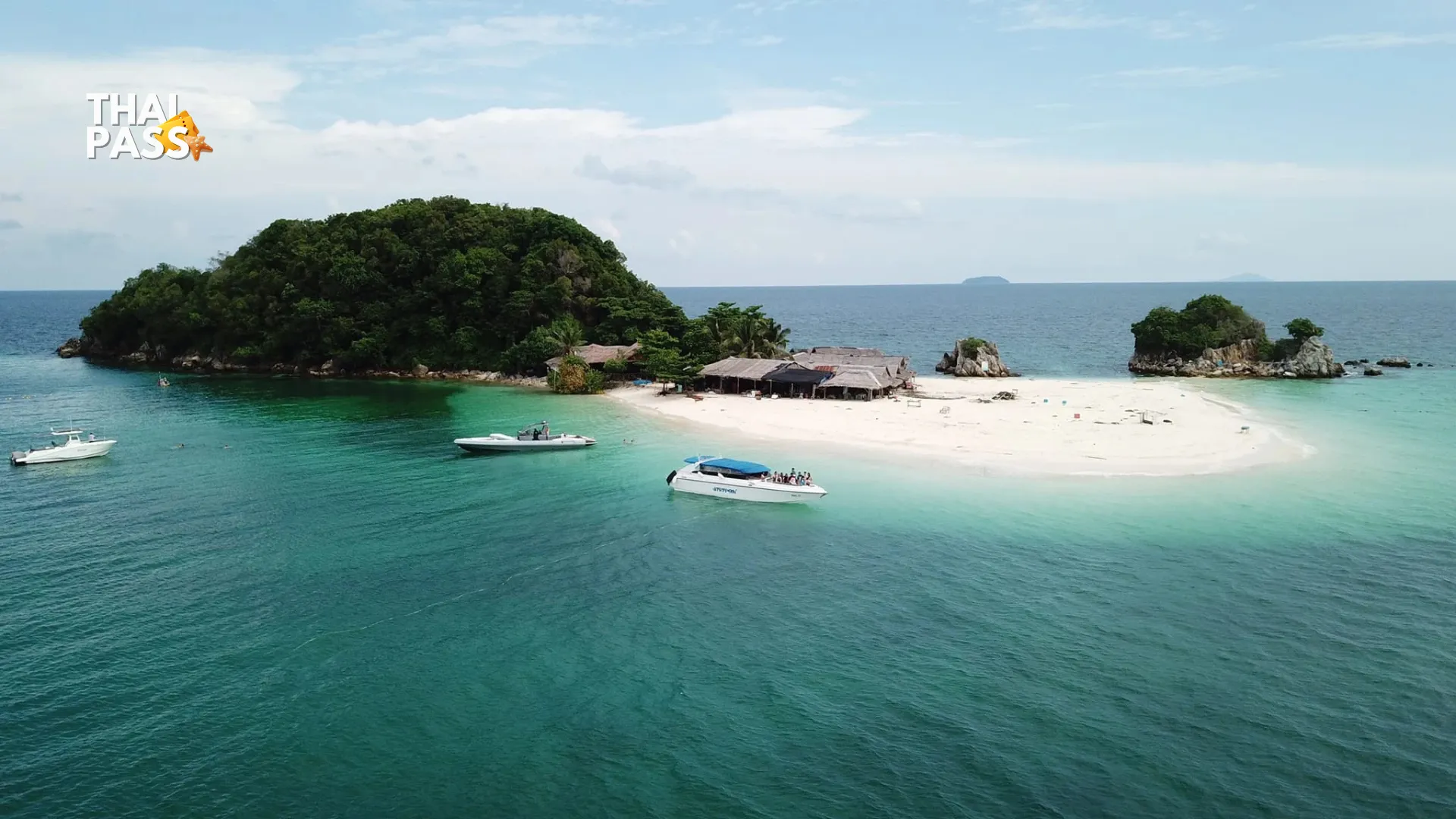 Phi Phi Island Day Trip Speedboat Tour with Transfer Included - Thai Pass