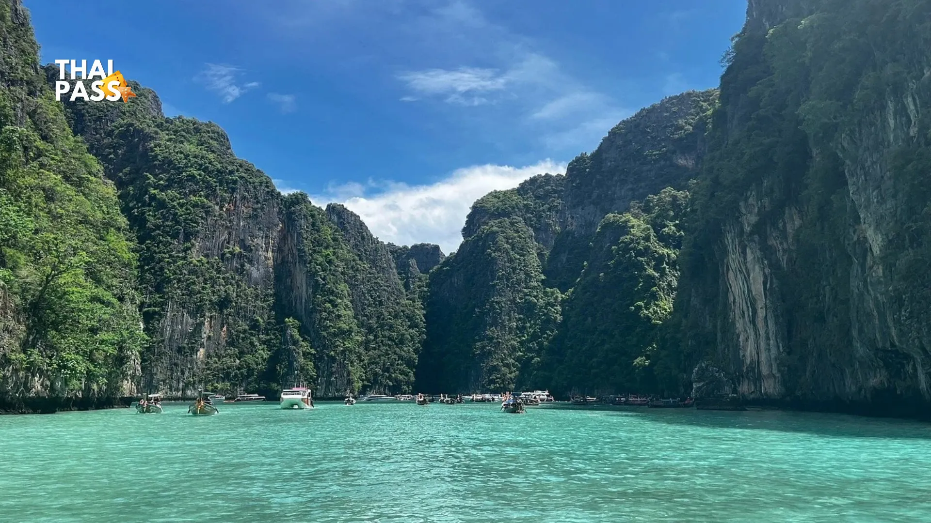 Phi Phi Island Day Trip Speedboat Tour with Transfer Included - Thai Pass