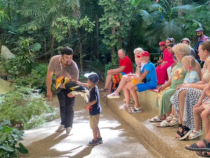 Phuket Bird Park Ticket - Thai Pass