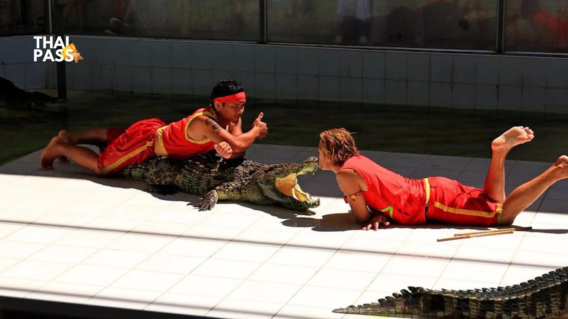 Phuket Crocodile Farm and Crocodile Show Ticket - Thai Pass