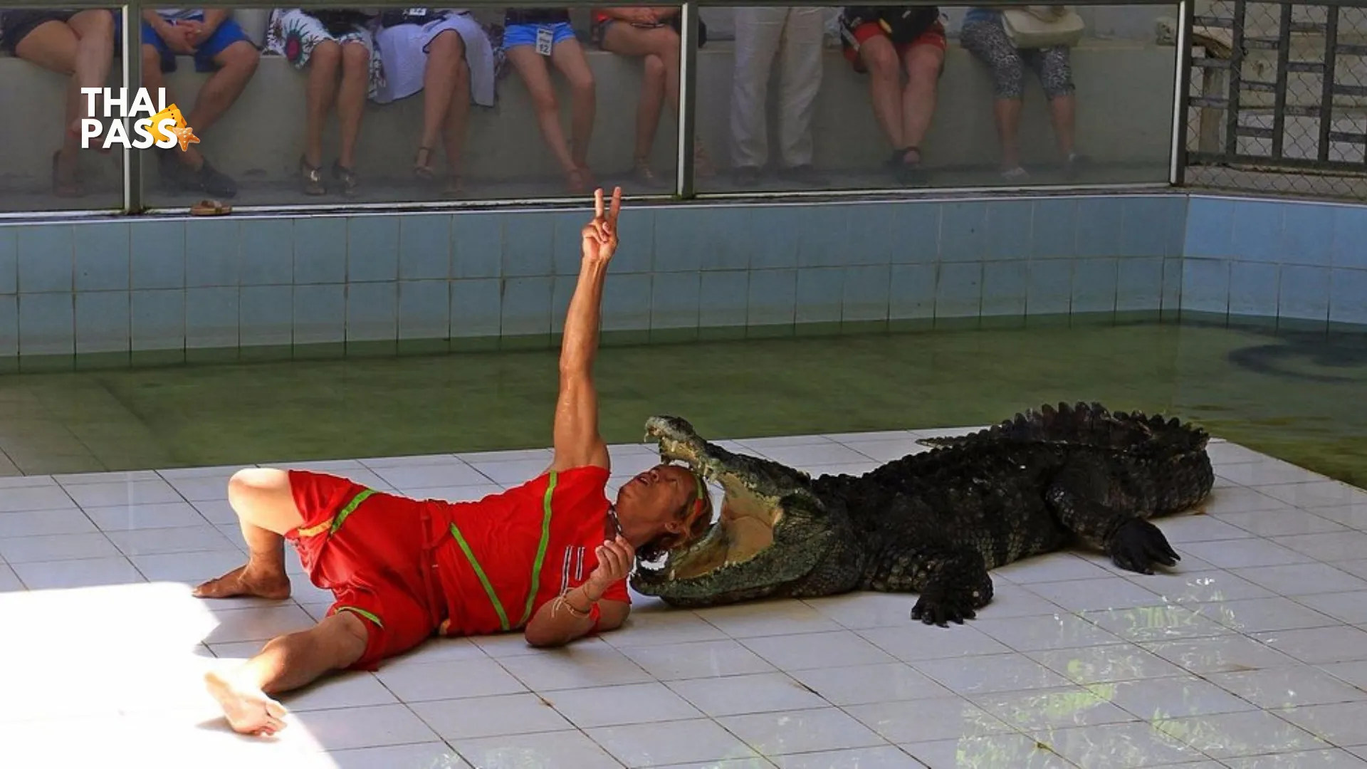 Phuket Crocodile Farm and Crocodile Show Ticket - Thai Pass