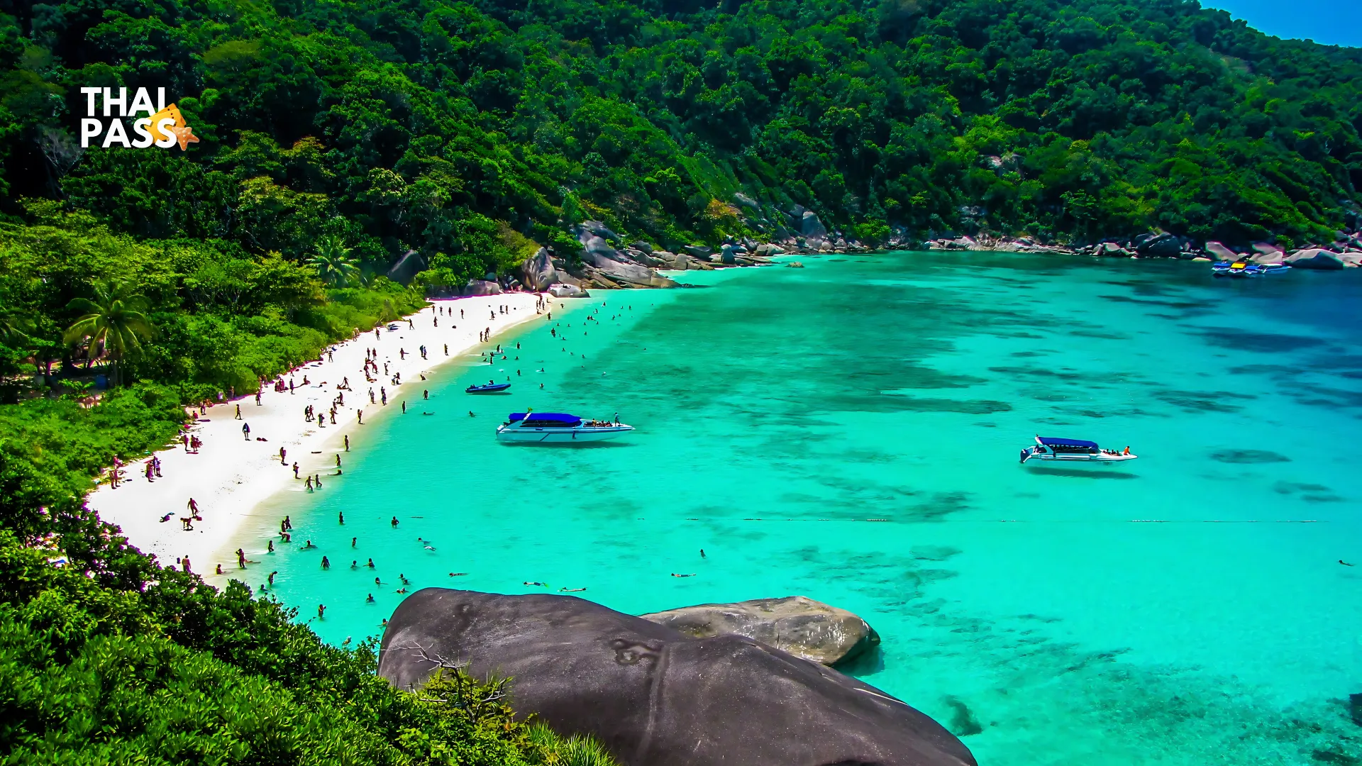 Similan Island Join Tour by Once Yachting Phuket - Thai Pass