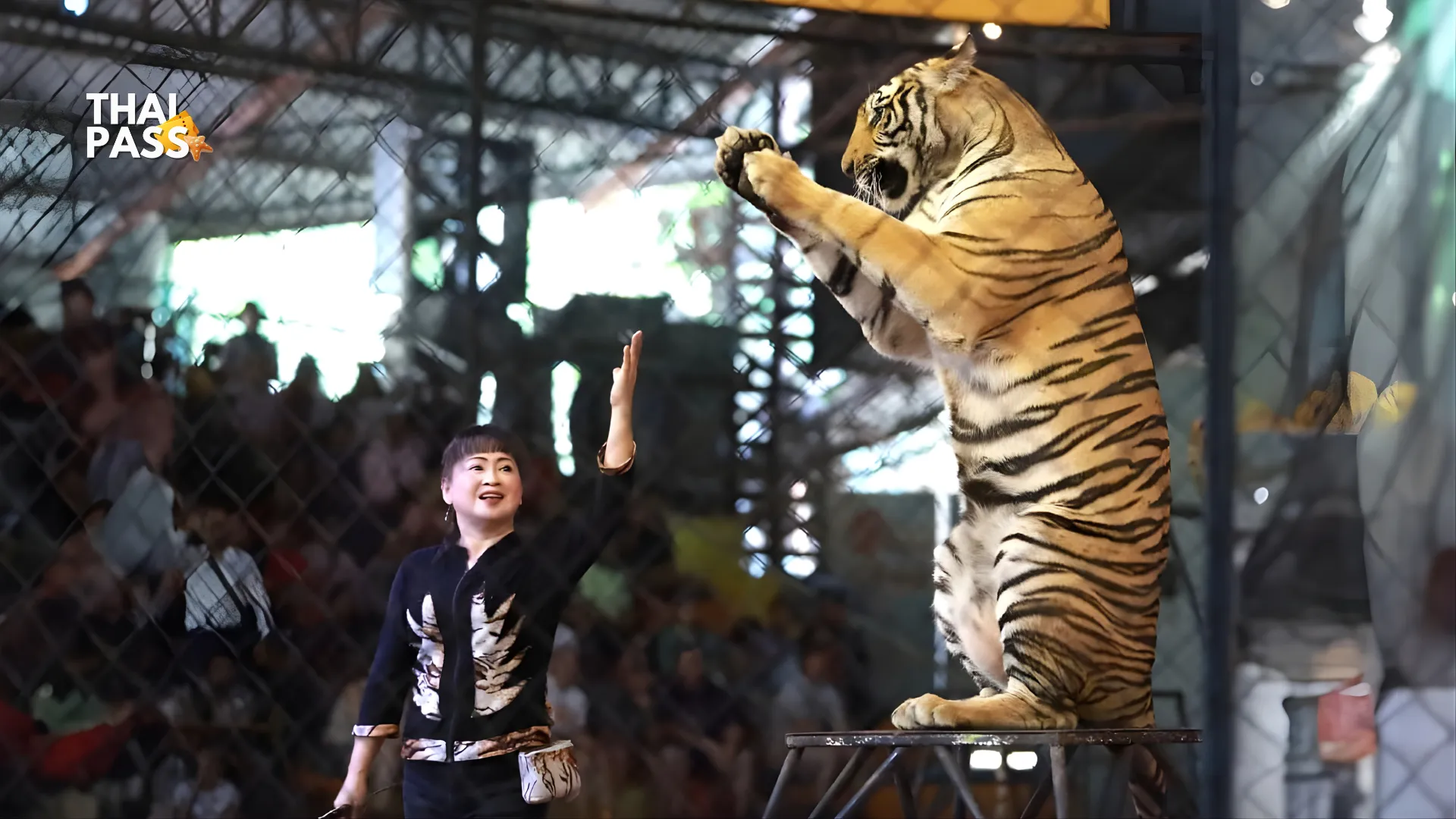 Siri Park and Zoo by Sriracha Zoo Ticket , Pattaya - Thai Pass