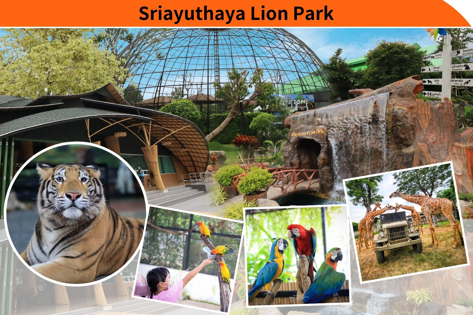 The Historic City Of Ayutthaya And Sriayuthaya Lion Park Day Tour_thumbnail_thethaipass.com