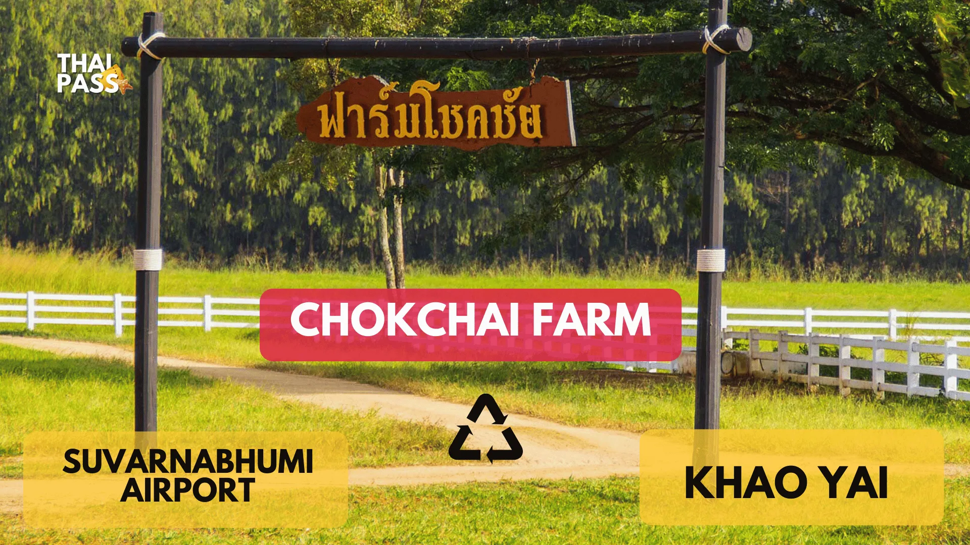 Private Transfer from Suvarnabhumi Airport to Khao Yai and Chokchai Farm with Airport representative_thumbnail_thethaipass.com