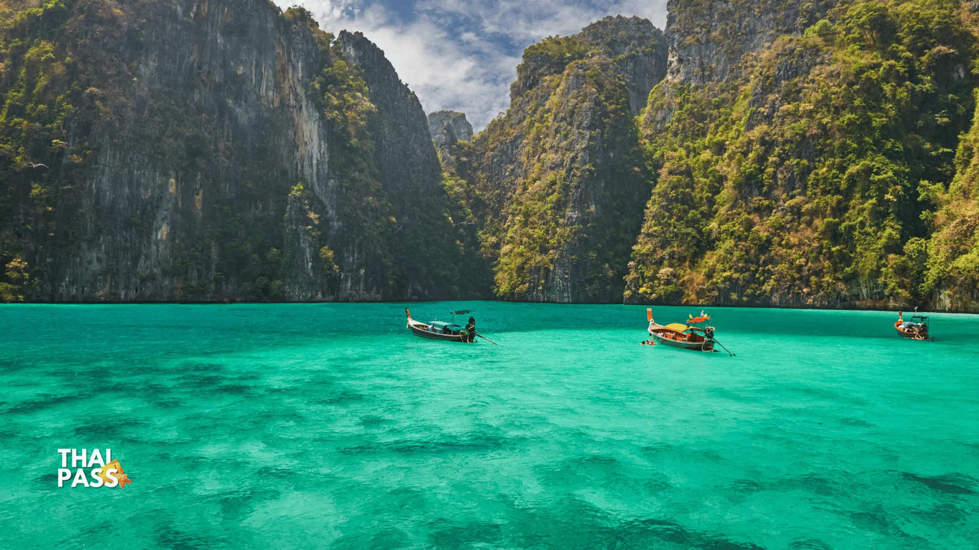 Phi Phi Island Day Trip Speedboat Tour include Transfer_thumbnail_thethaipass.com