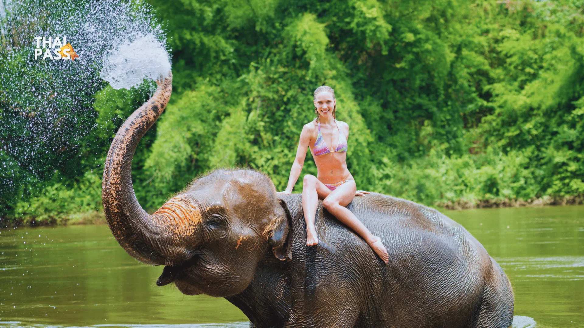 Kanchanaburi Elephants Experience Elephants Bathing & Bamboo Rafting_thumbnail_thethaipass.com