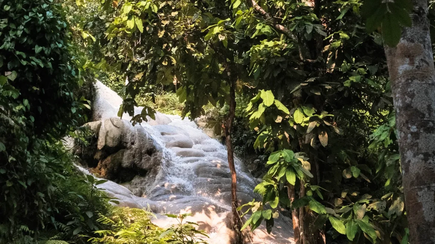 Climb Unique Sticky Waterfall in Chiang Mai_thumbnail_thethaipass.com