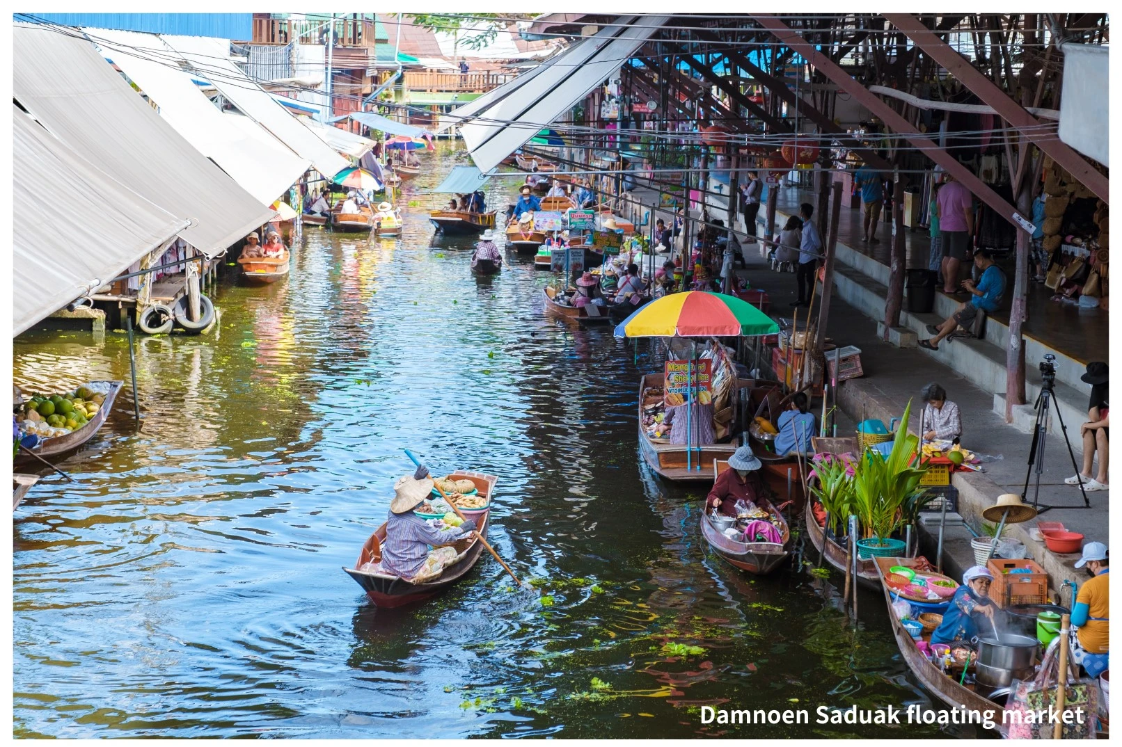 Classic Thailand Day Tour - Damnoen Saduak Floating Market & Elephant Camp_thumbnail_thethaipass.com