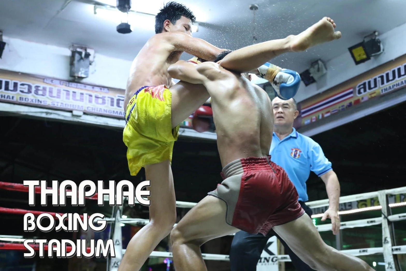 Chiang Mai-Thaphae Boxing Stadium Muay Thai Ticket_thumbnail_thethaipass.com