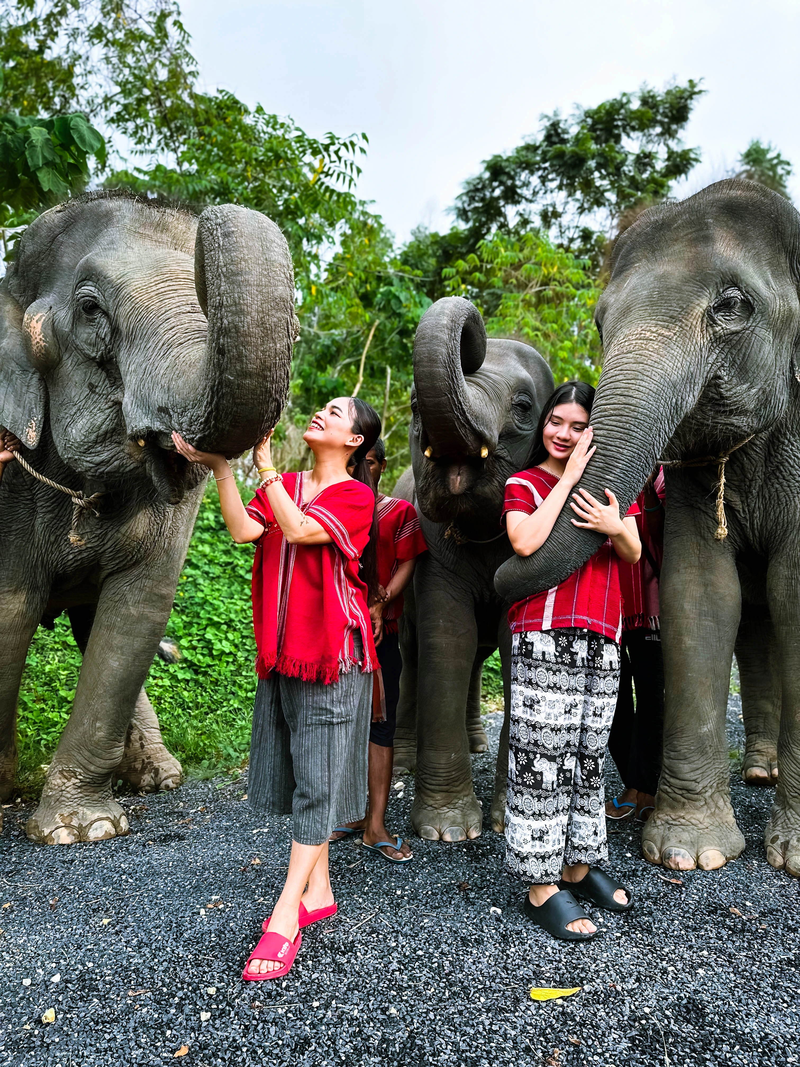 Kerchor Elephant Family Phuket_thumbnail_thethaipass.com