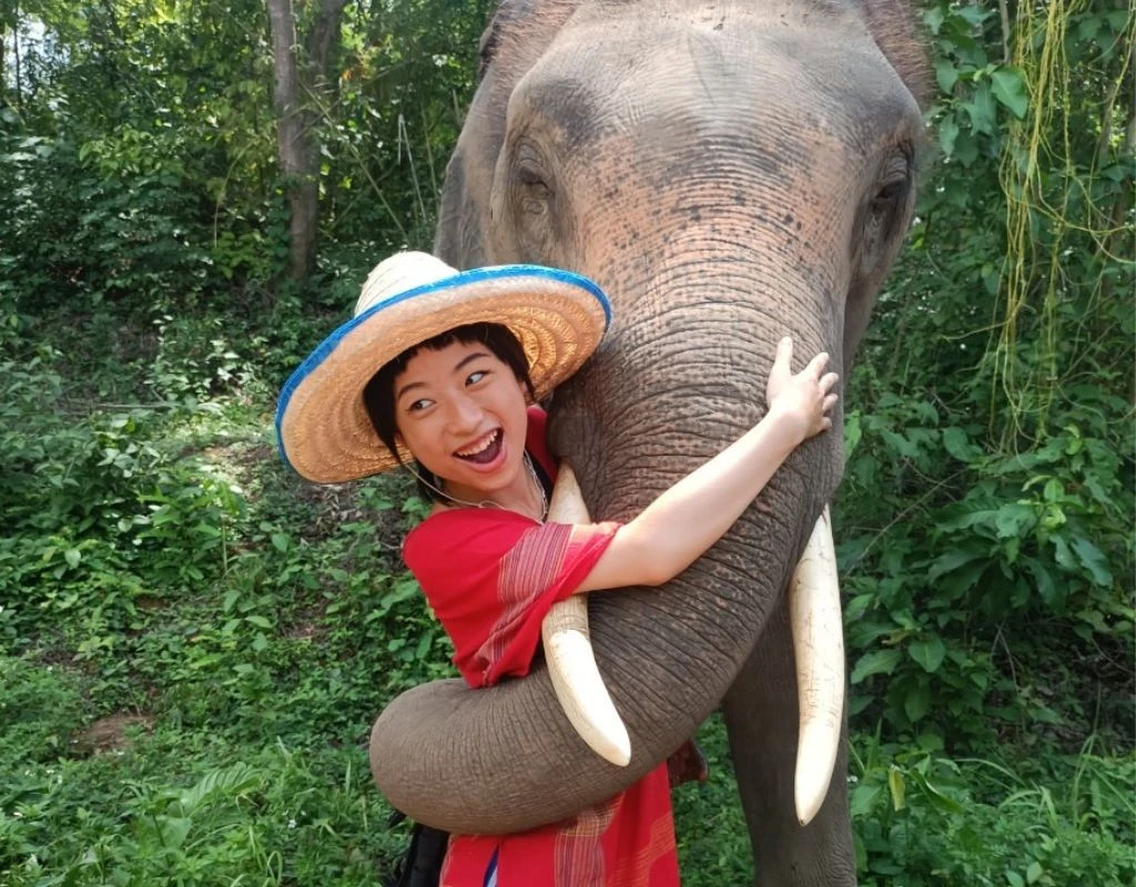 Elephant sanctuary in Chiangmai_thumbnail_thethaipass.com