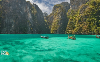 Phi Phi Island Day Trip Speedboat Tour include Transfer