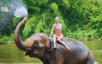 Kanchanaburi Elephants Experience Elephants Bathing & Bamboo RaftingThai Pass