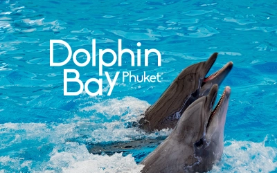 Dolphin Bay (Phuket Dolphin Show)