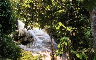 Climb Unique Sticky Waterfall in Chiang Mai