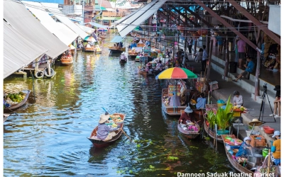 Classic Thailand Day Tour - Damnoen Saduak Floating Market & Elephant Camp