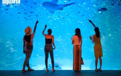 Aquaria Phuket - Thai Resident (Incl Expats)