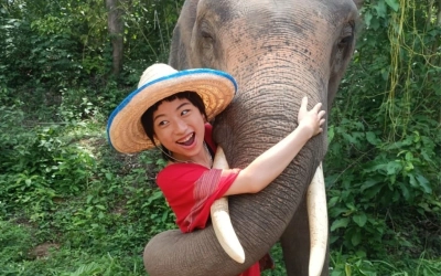 Elephant sanctuary in Chiangmai