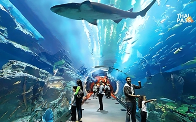 Underwater World Pattaya