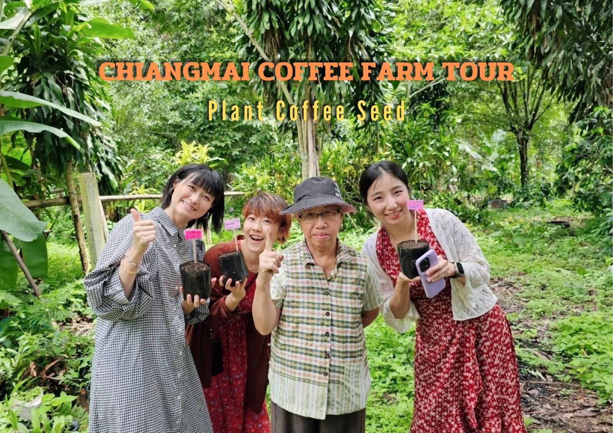 Chiang Mai Organic Coffee Farm Tour by ZEIT Roaster