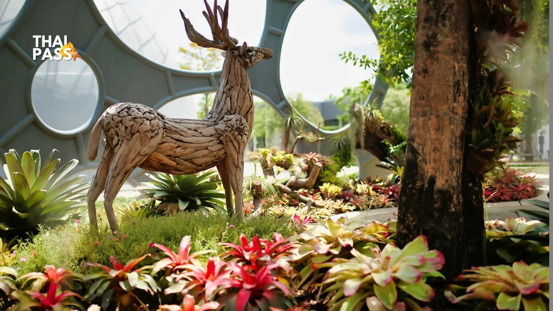 Flower Land Pattaya Tickets_thumbnail_thethaipass.com