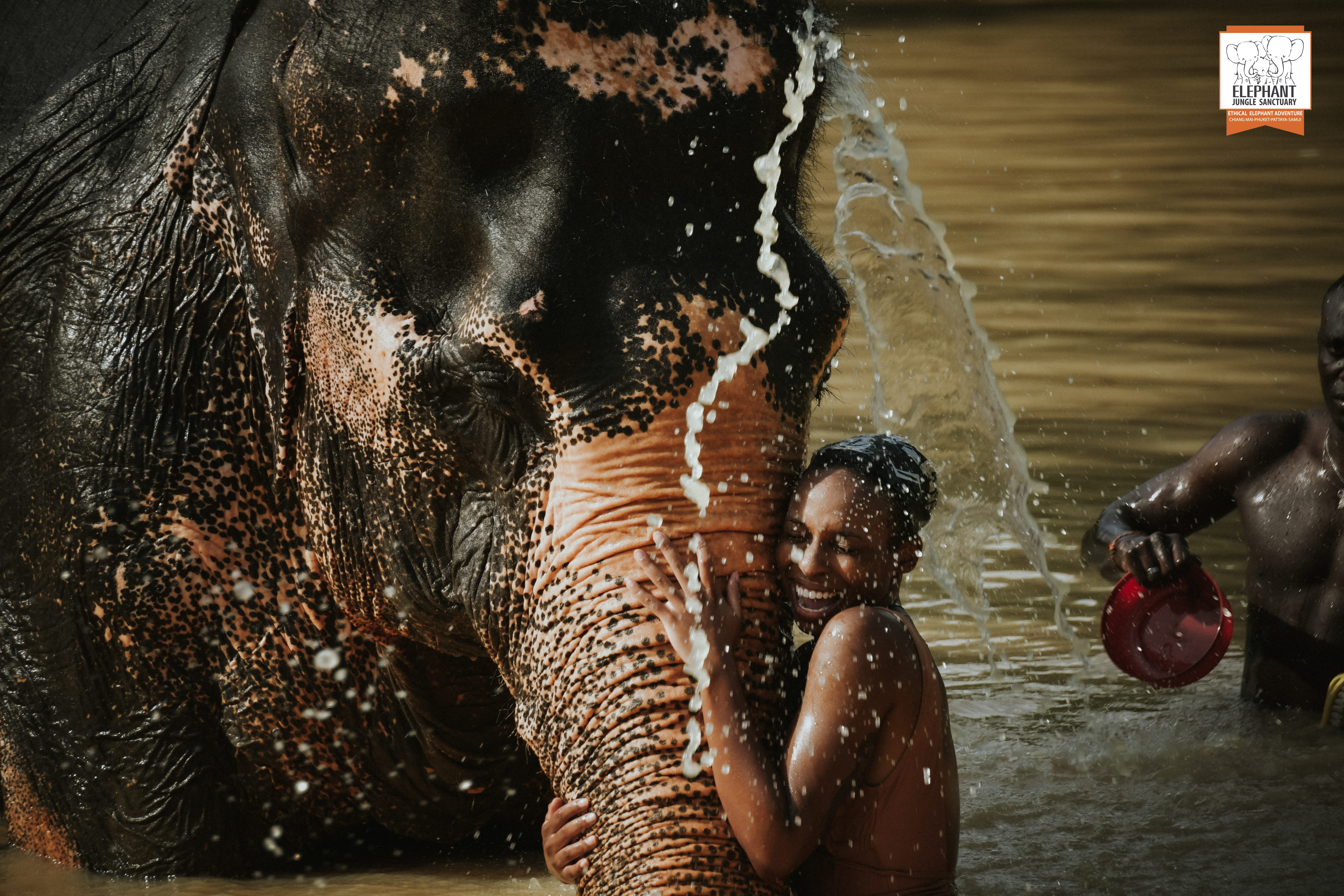 Phuket: Half Day Visit with Meal by Elephant Jungle Sanctuary_thumbnail_thethaipass.com