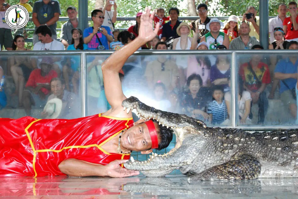 Phuket Crocodile Farm and Crocodile Show Ticket