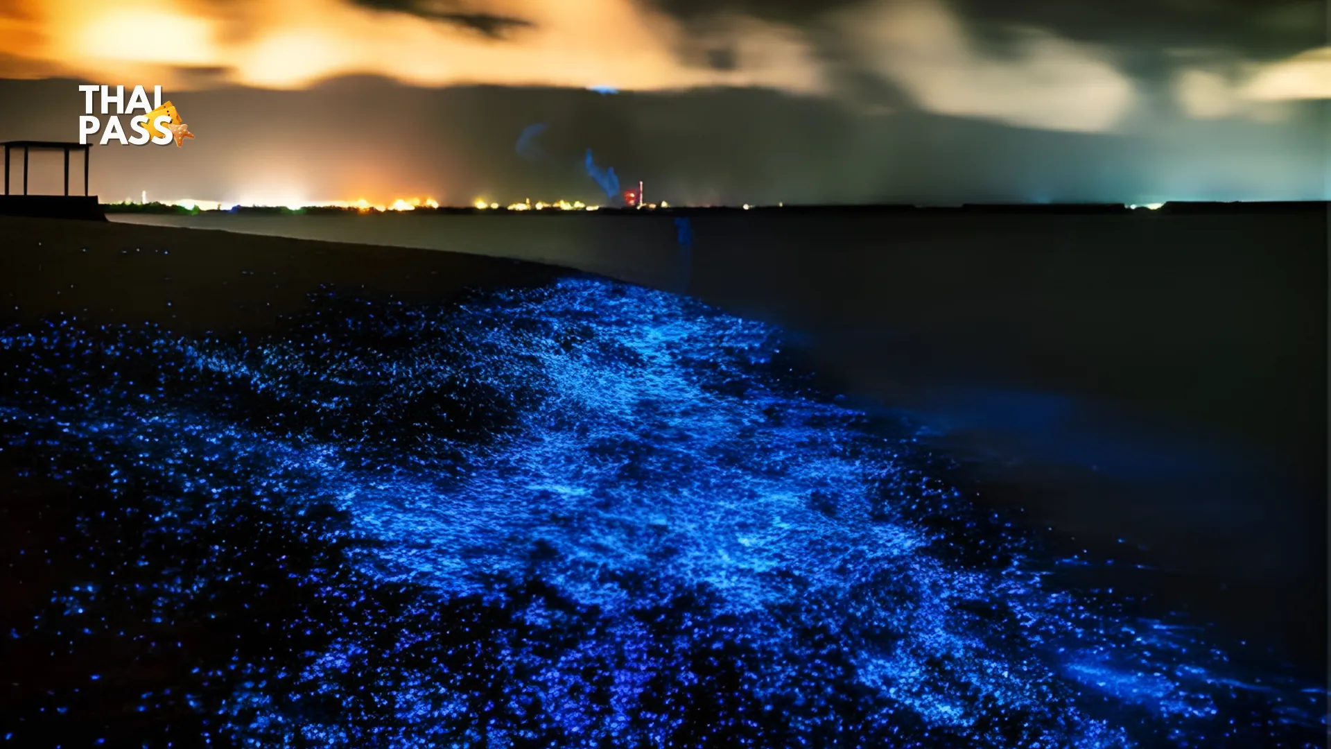 Phuket: Phang Nga Bay Bioluminescent Plankton and Sea Canoes Tour_thumbnail_thethaipass.com