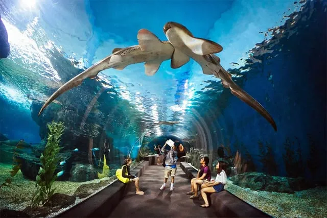 Underwater World Pattaya + Private Transfer_thumbnail_thethaipass.com