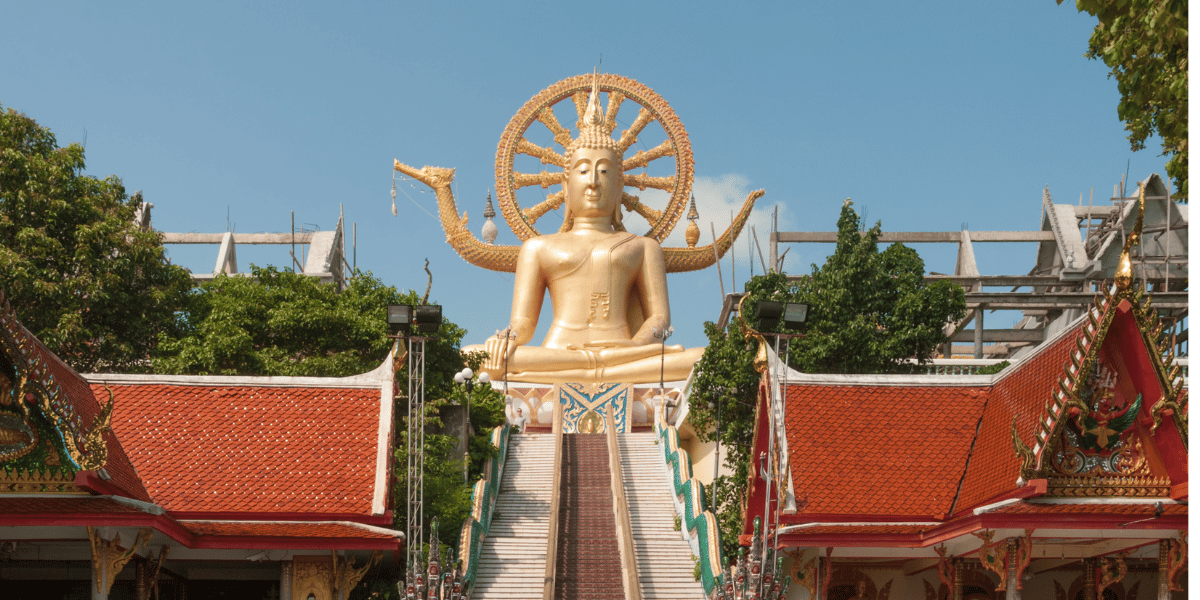 undefined- Thai Pass